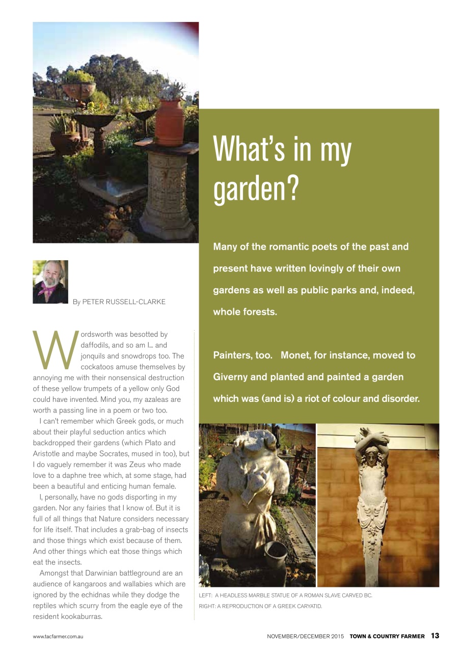 Town And Country Farmer Preview Pages