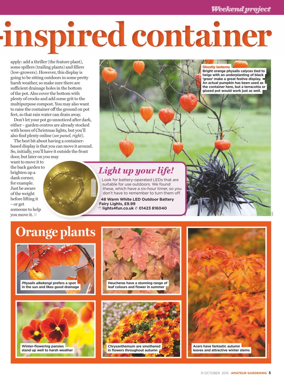 Amateur Gardening Preview Pages