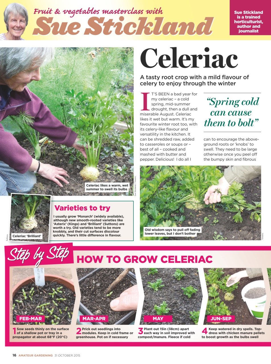 Amateur Gardening Preview Pages