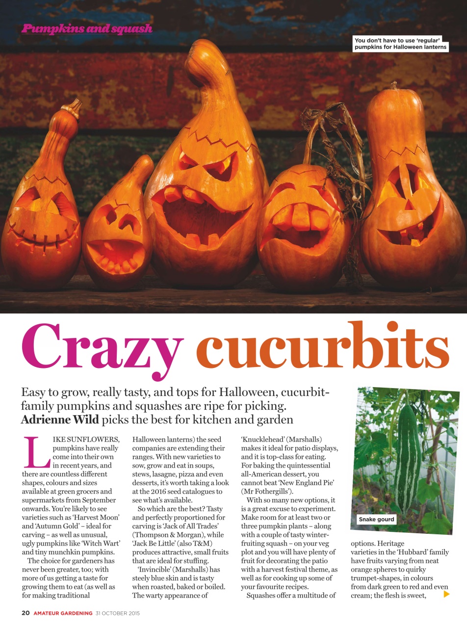 Amateur Gardening Preview Pages