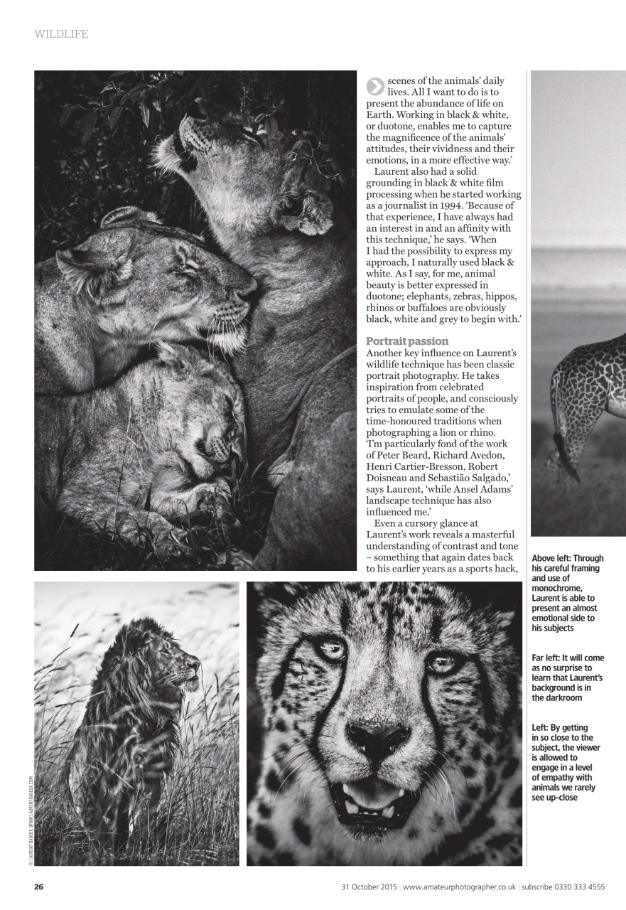 Amateur Photographer Preview Pages