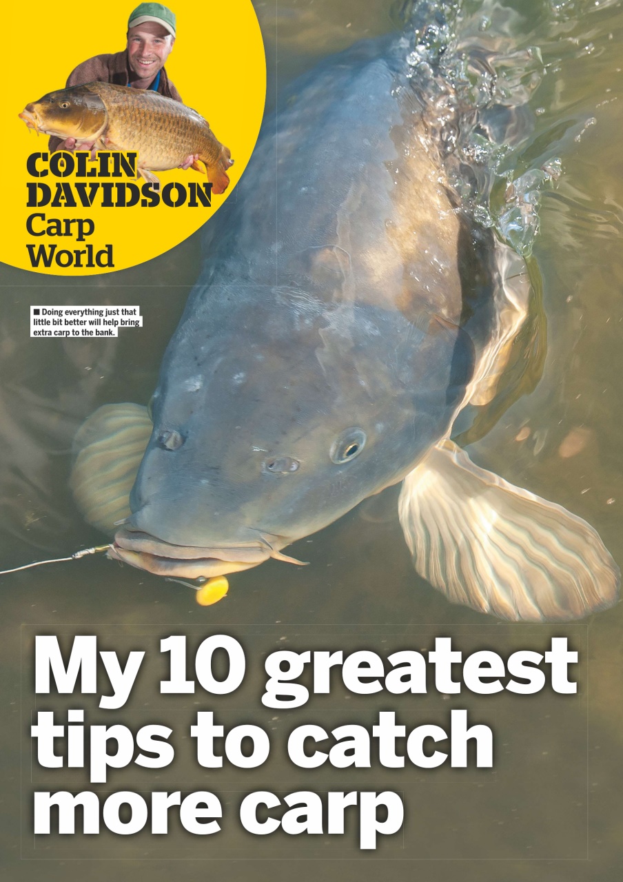 Anglers Mail Preview Pages