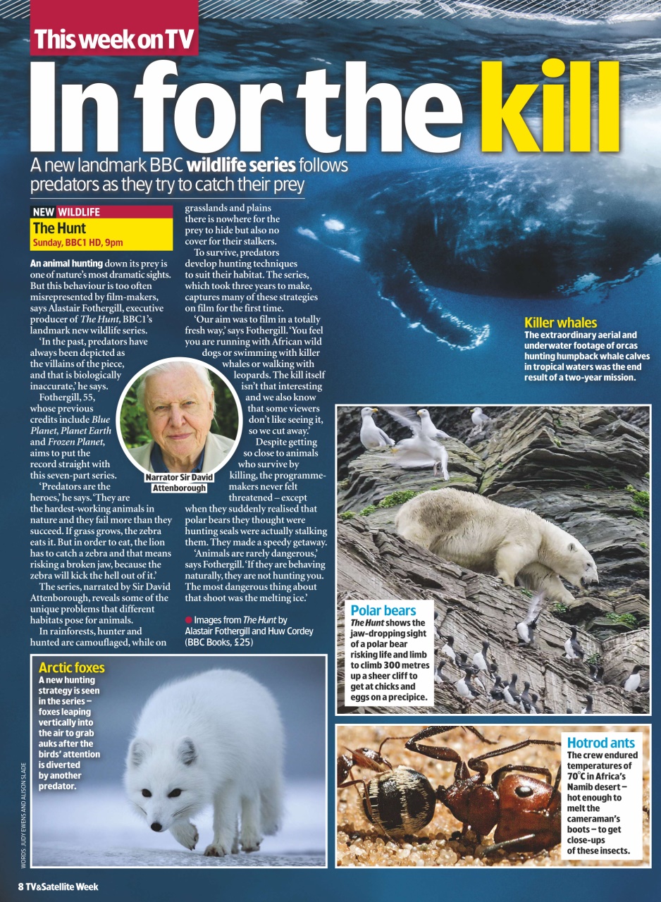 TV & Satellite Week Preview Pages