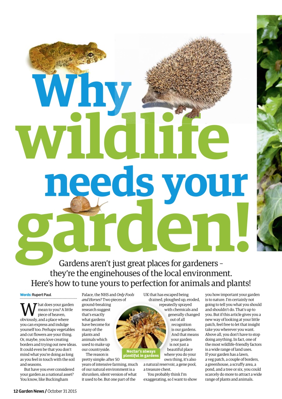 Garden News Preview Pages