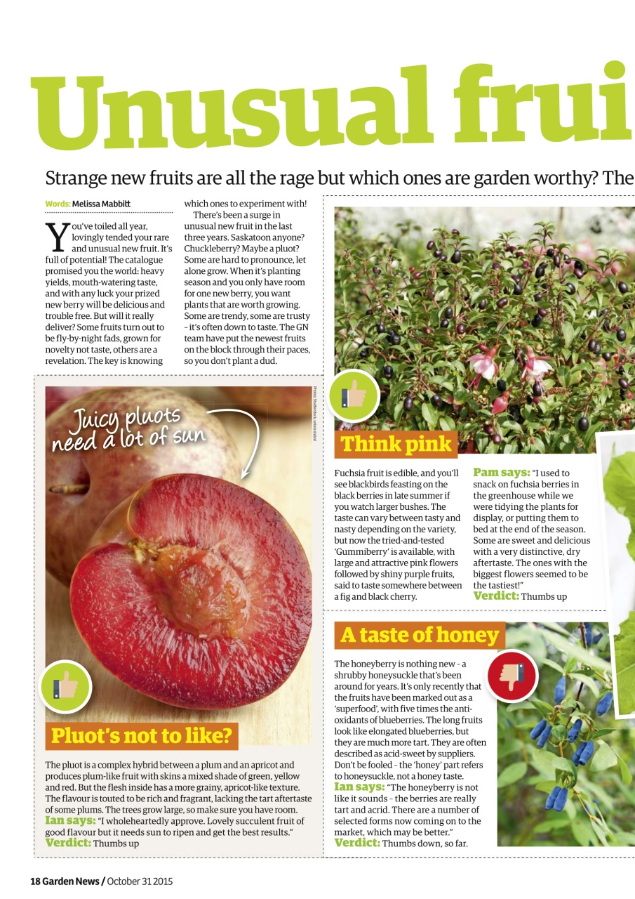 Garden News Preview Pages