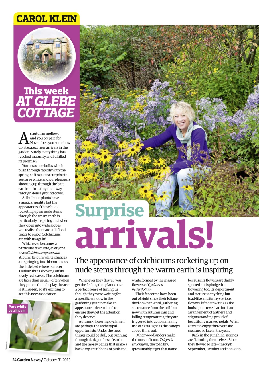 Garden News Preview Pages