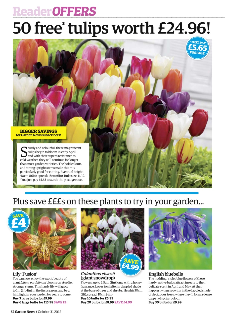 Garden News Preview Pages