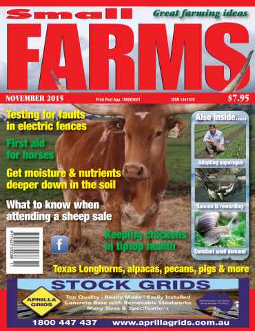 Small Farms issue November 2015