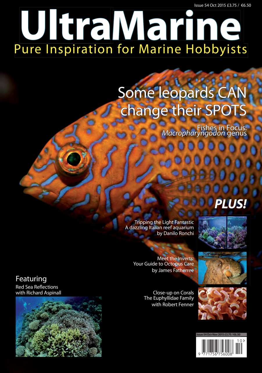 UltraMarine Magazine Preview Pages