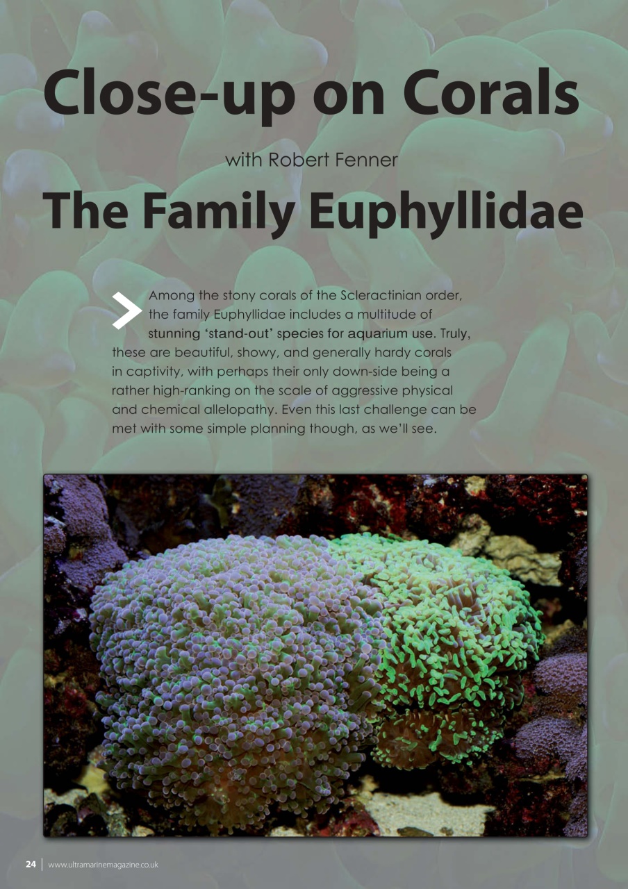 UltraMarine Magazine Preview Pages