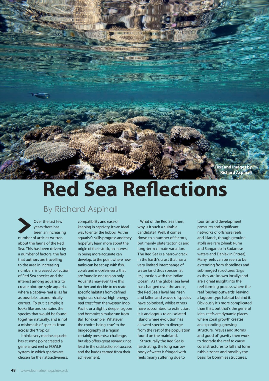 UltraMarine Magazine Preview Pages