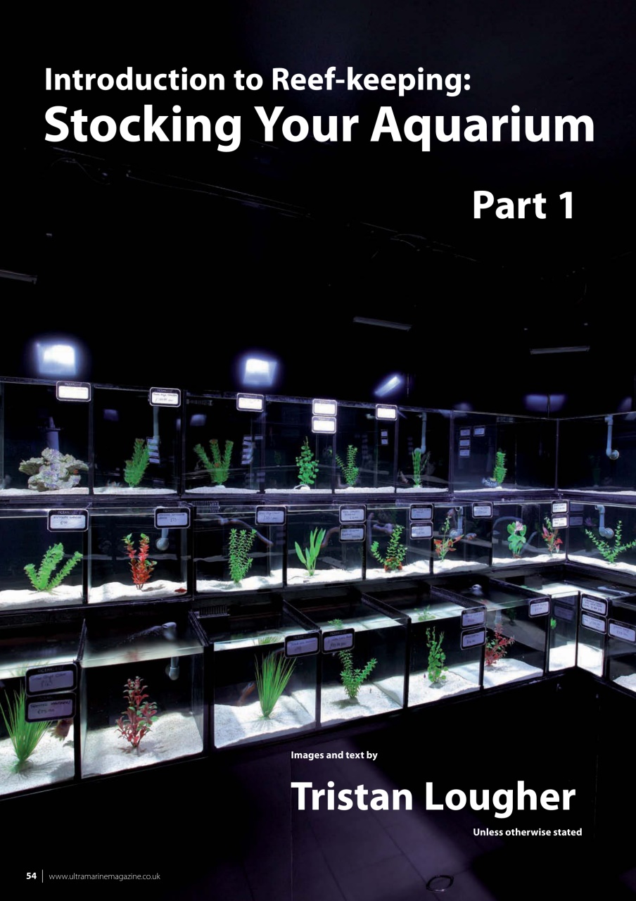 UltraMarine Magazine Preview Pages