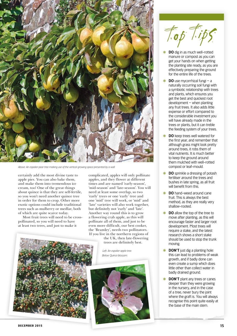 Home Farmer Magazine Preview Pages
