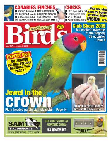 Cage & Aviary Birds issue No. 5878 Jewel in the crown