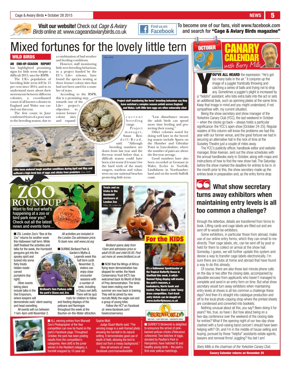 Cage & Aviary Birds Preview Pages