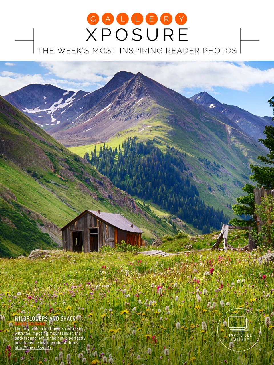 Photography Week Preview Pages