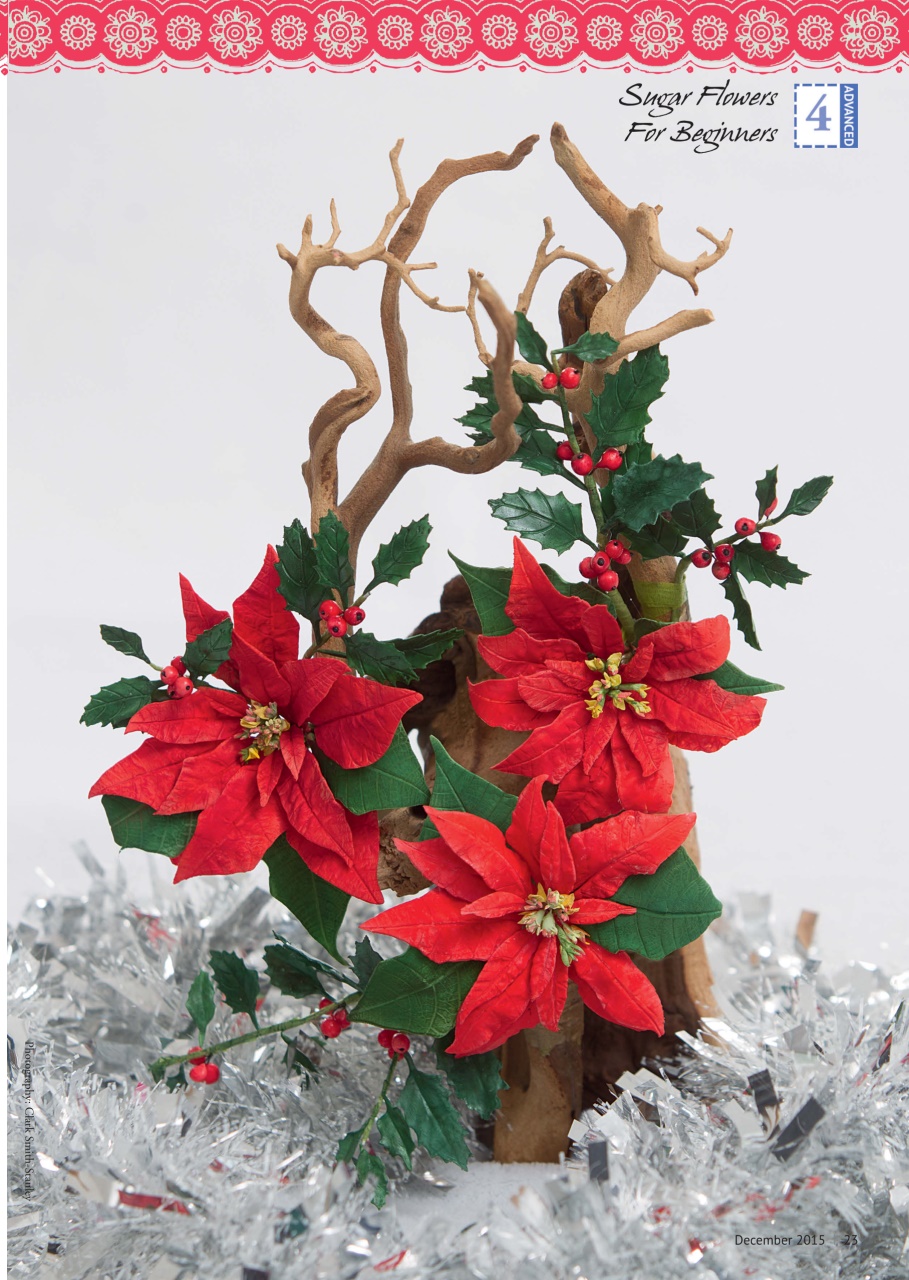 Cake Decoration & Sugarcraft Magazine Preview Pages