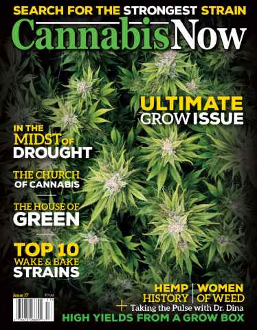 Cannabis Now issue Issue 17