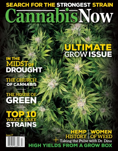 Cannabis Now issue 