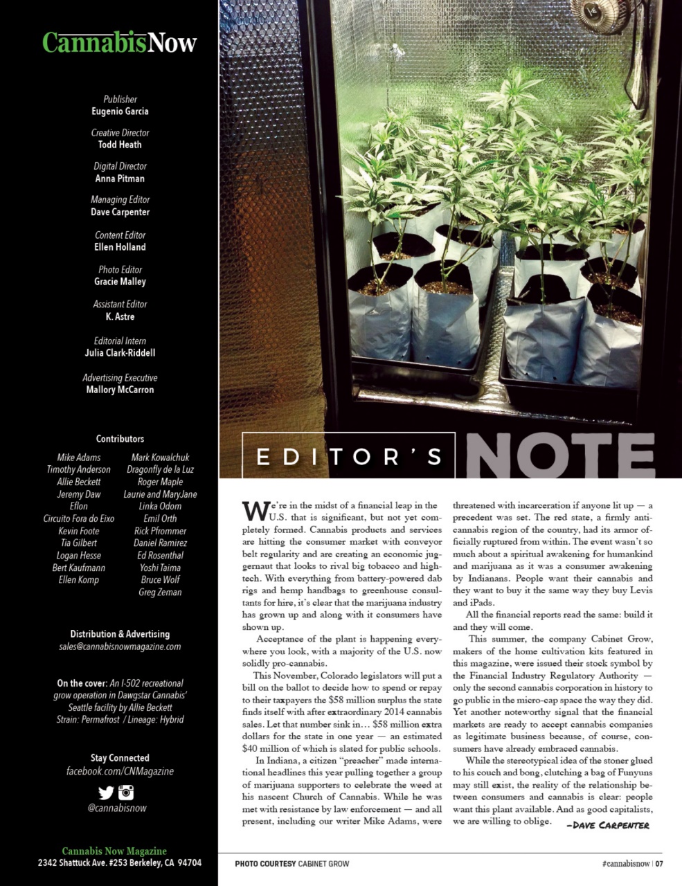 Cannabis Now Preview Pages