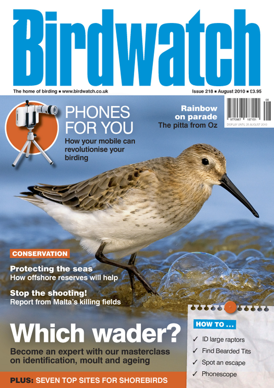 Birdwatch Magazine Preview Pages