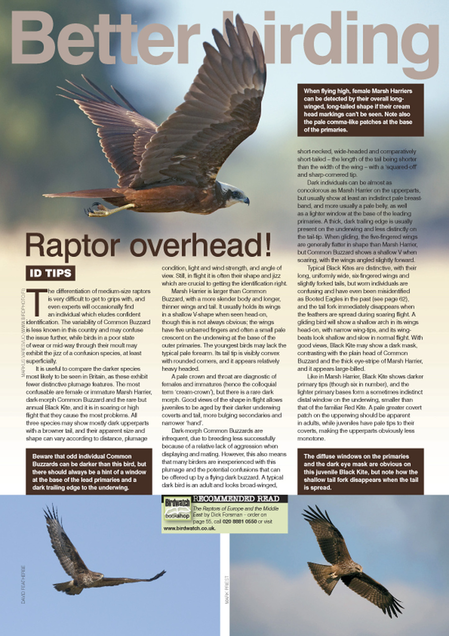 Birdwatch Magazine Preview Pages