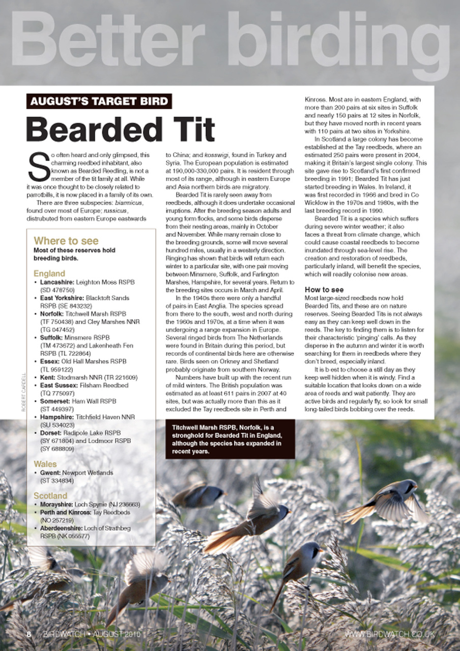 Birdwatch Magazine Preview Pages