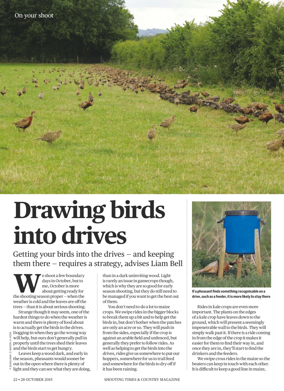 Shooting Times & Country Preview Pages