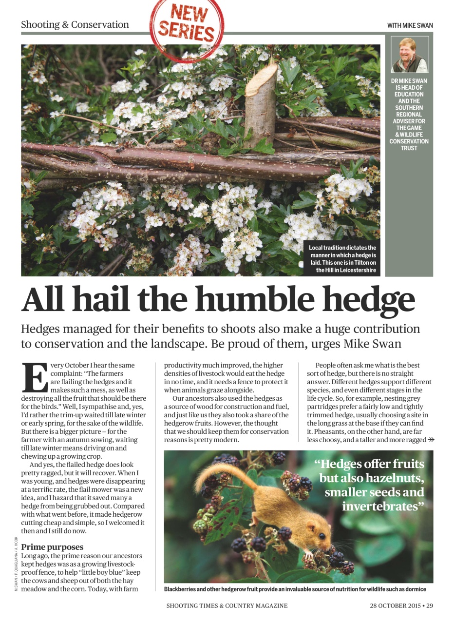 Shooting Times & Country Preview Pages