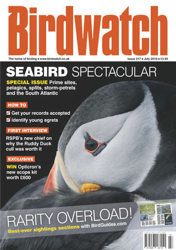 Birdwatch Magazine issue 