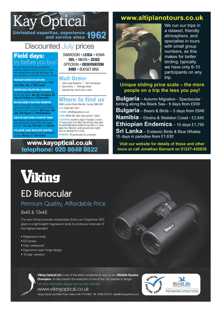 Birdwatch Magazine Preview Pages