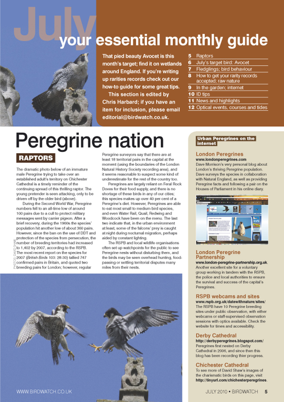 Birdwatch Magazine Preview Pages
