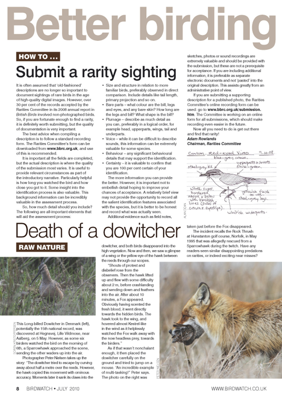 Birdwatch Magazine Preview Pages