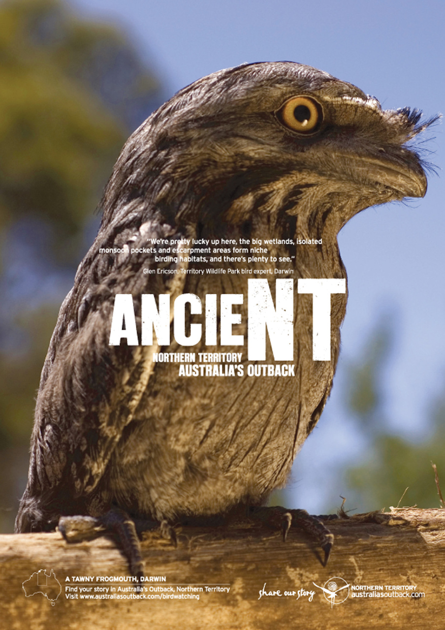 Birdwatch Magazine Preview Pages