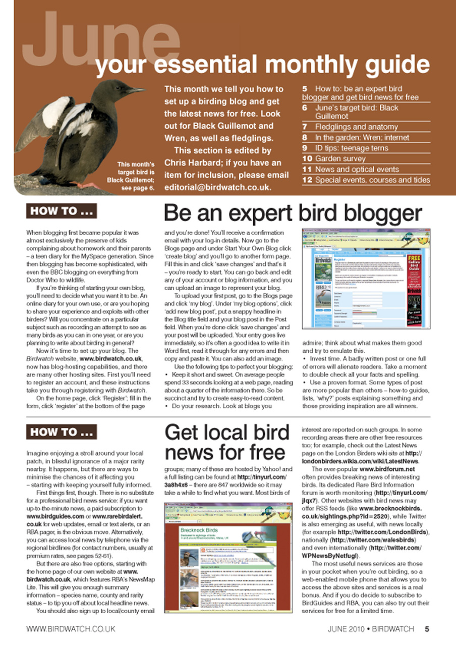 Birdwatch Magazine Preview Pages