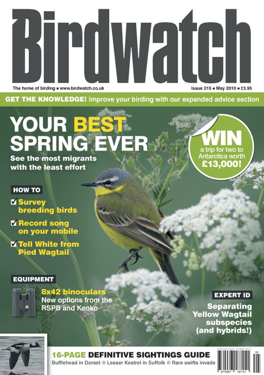 Birdwatch Magazine Preview Pages