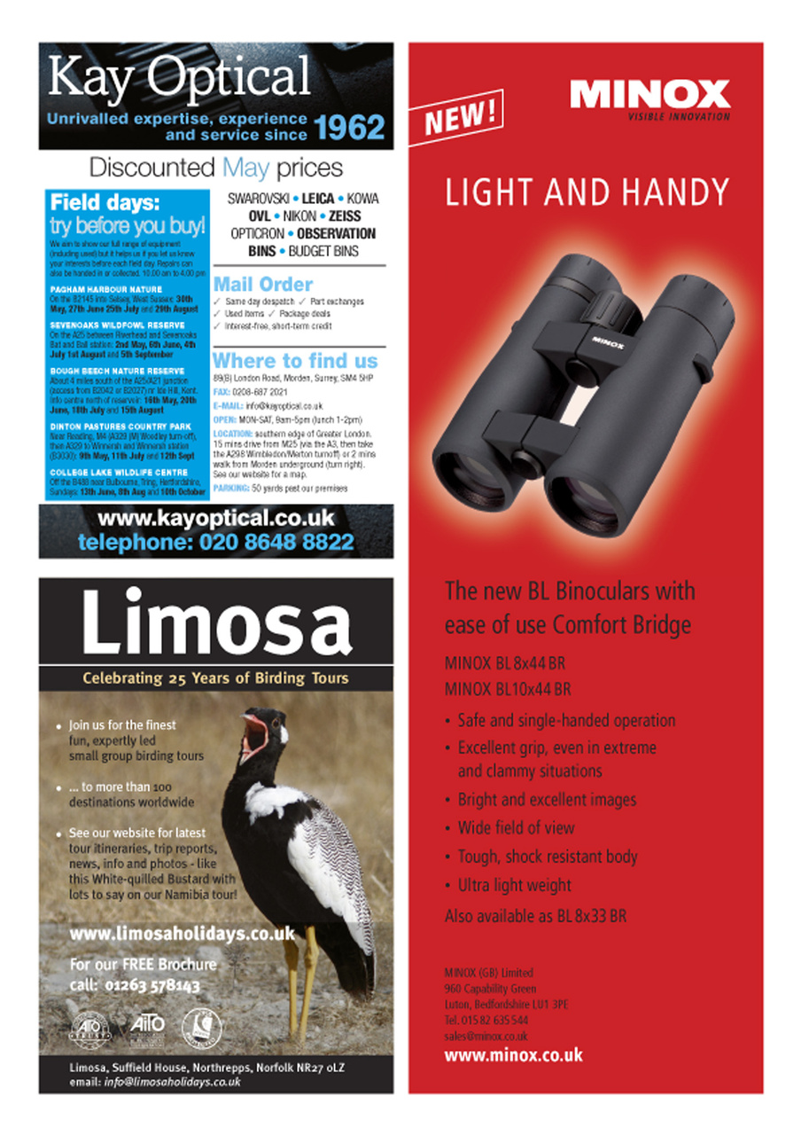 Birdwatch Magazine Preview Pages