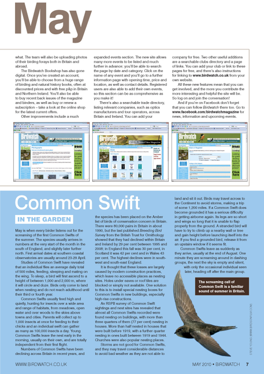 Birdwatch Magazine Preview Pages