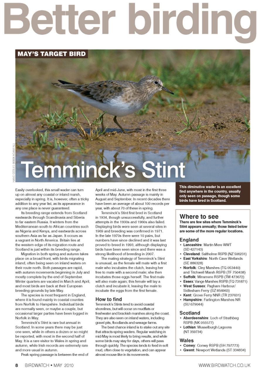 Birdwatch Magazine Preview Pages