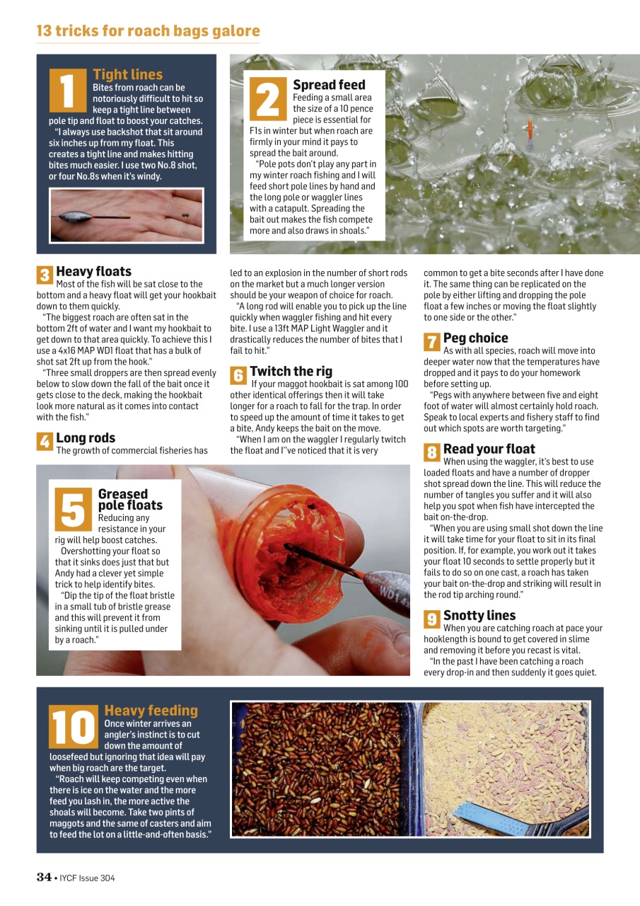 Improve Your Coarse Fishing Preview Pages