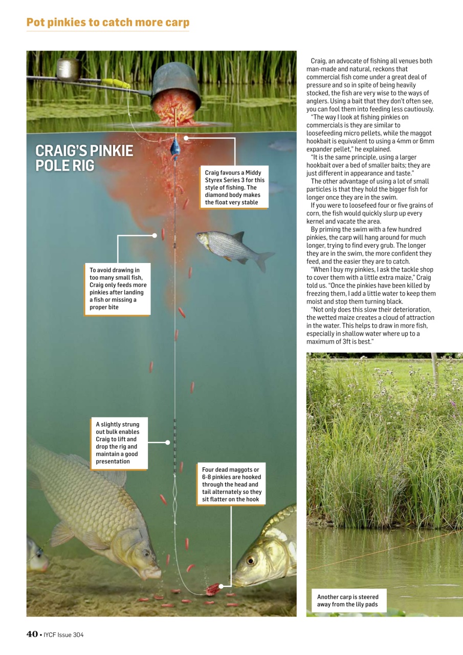 Improve Your Coarse Fishing Preview Pages