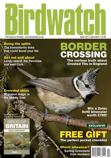 Birdwatch Magazine issue 