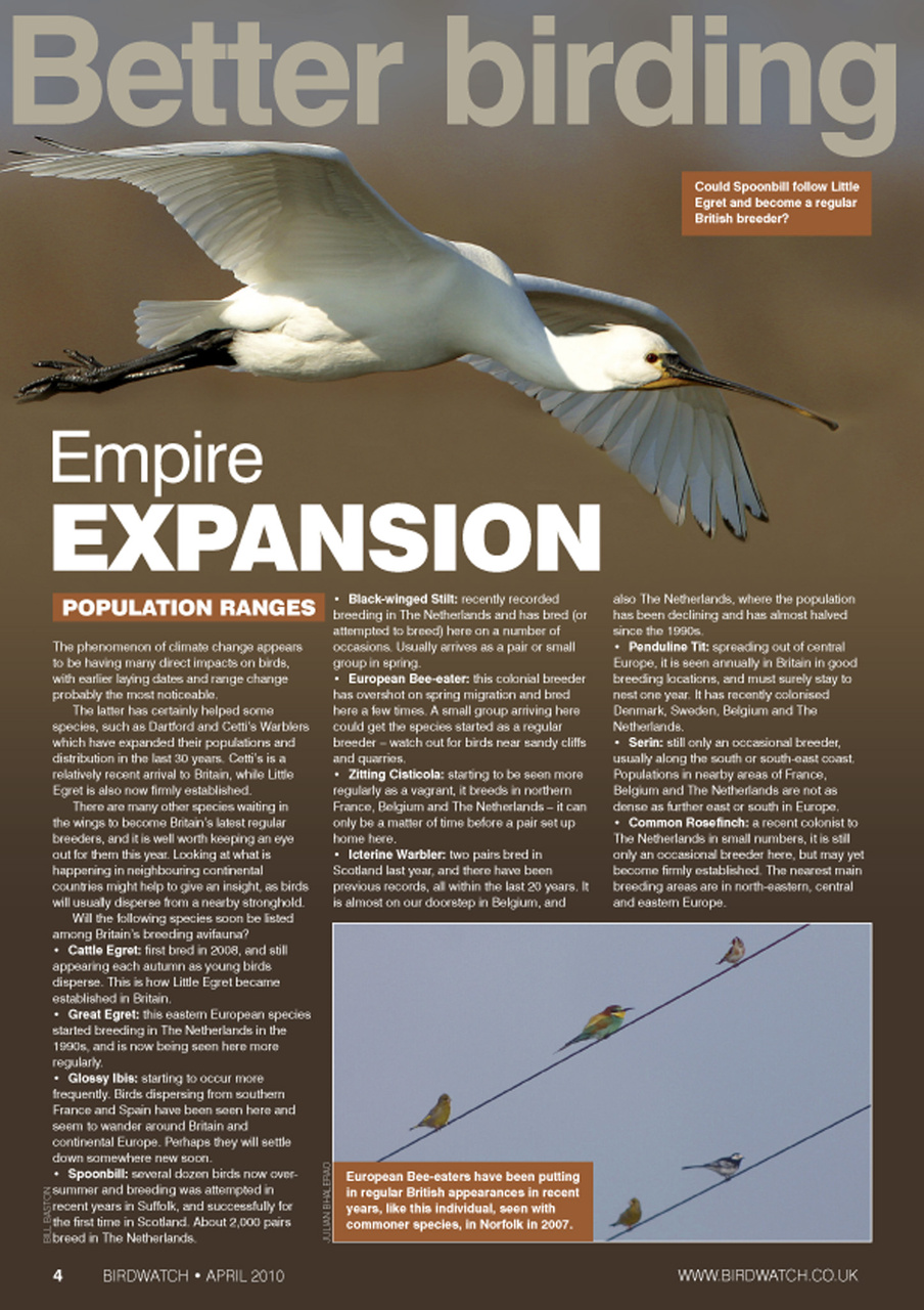 Birdwatch Magazine Preview Pages