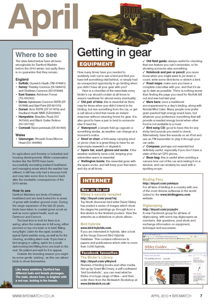 Birdwatch Magazine Preview Pages