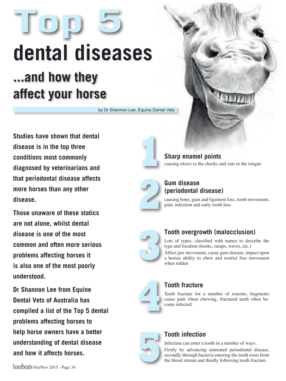 Hoofbeats Preview Pages