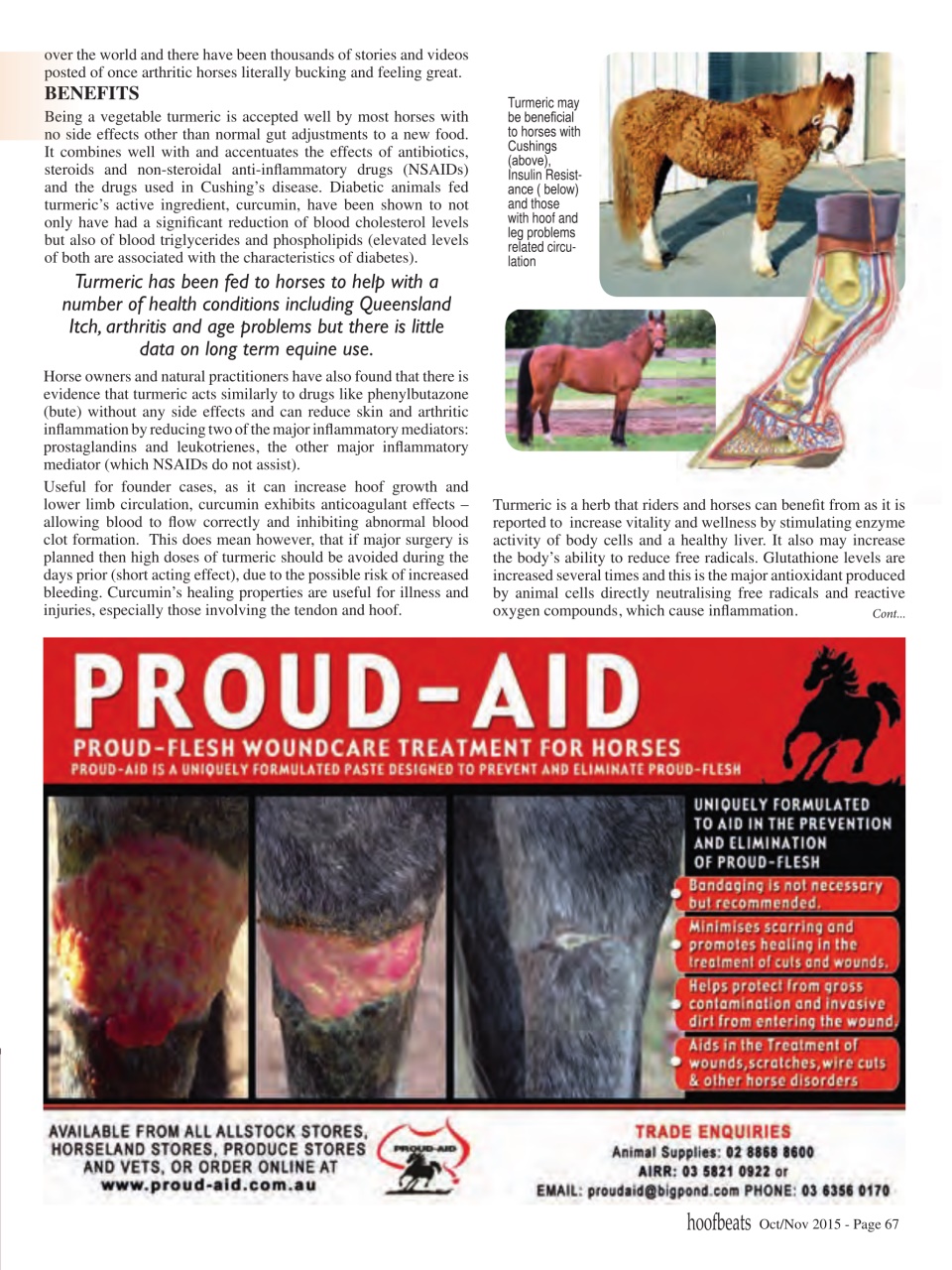 Hoofbeats Preview Pages