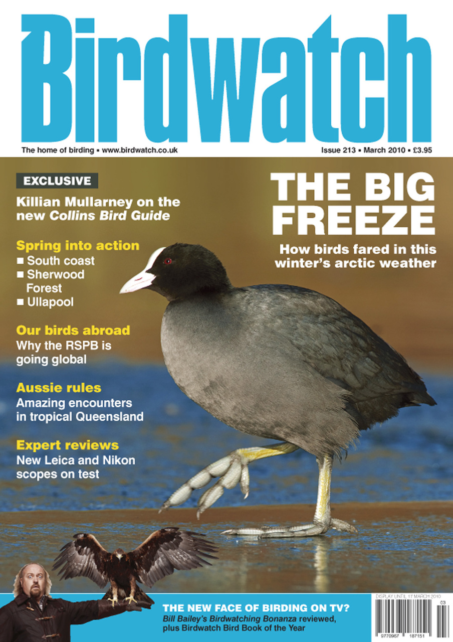 Birdwatch Magazine Preview Pages