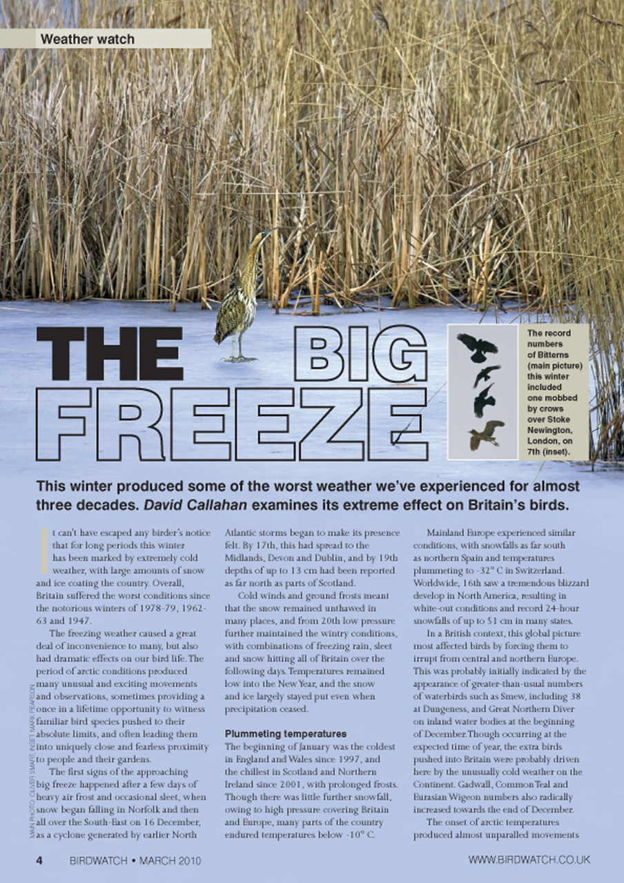 Birdwatch Magazine Preview Pages