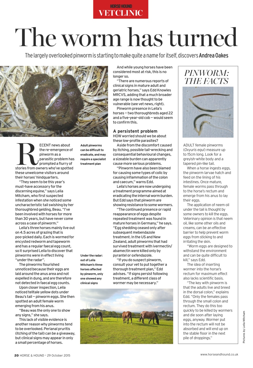 Horse & Hound Preview Pages