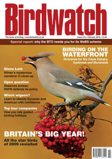 Birdwatch Magazine issue 